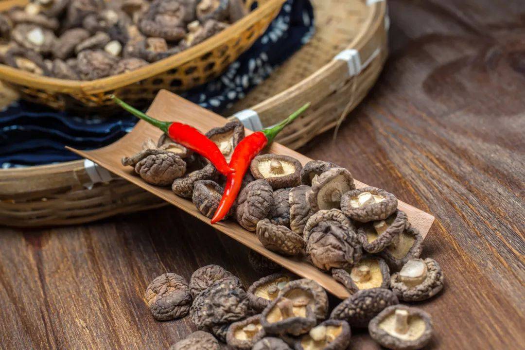 長在“毒樹”上的香菇，500元一斤，卻很多人搶著要！