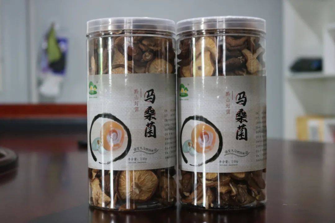 長在“毒樹”上的香菇，500元一斤，卻很多人搶著要！