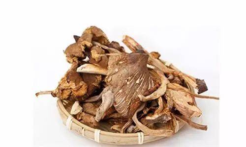 不看不知道，原來雞樅菌有這么多品種，漲姿勢了……