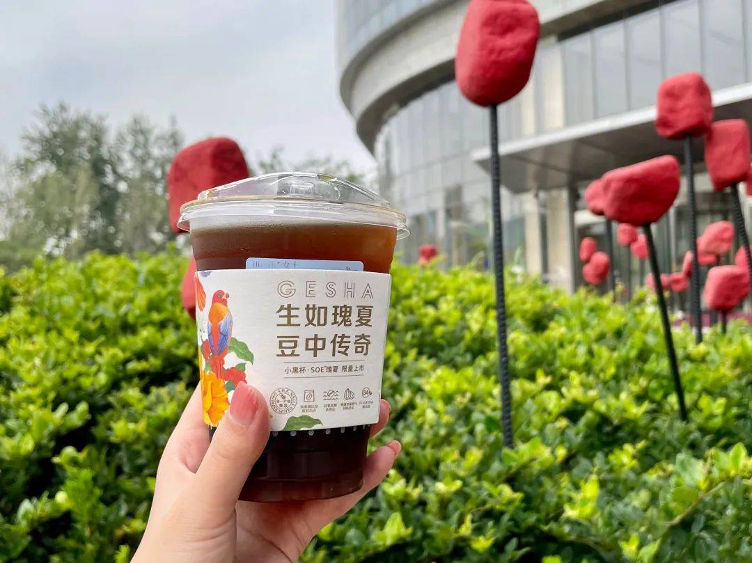 瑰夏出圈！瑞幸能用“好喝不貴”讓年輕人喜歡上精品咖啡嗎？