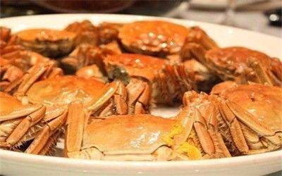 大閘蟹非陽澄湖不可？聰明人都去這些產區買大閘蟹了