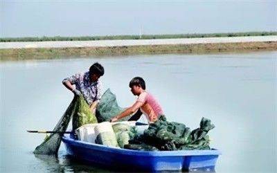 大閘蟹非陽澄湖不可？聰明人都去這些產區買大閘蟹了