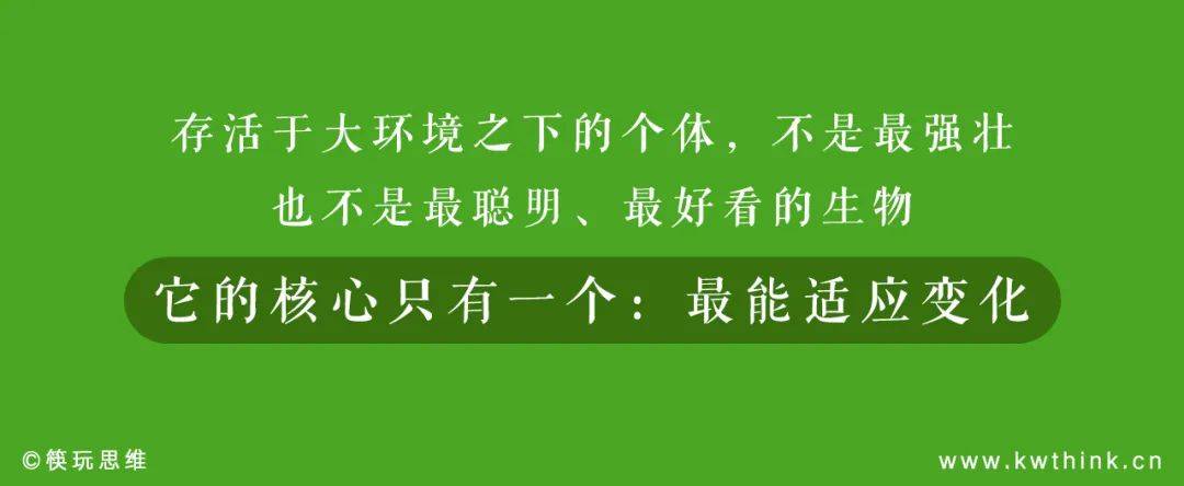 門店數在疫情后呈5倍速增長，這個龍蝦飯頭部品牌是咋做到的？