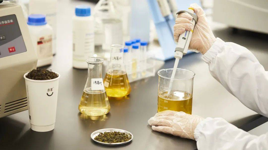 獨家丨古茗計劃2023年破萬店，將重點開拓這些區域