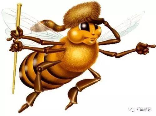 蜜蜂的科学选址