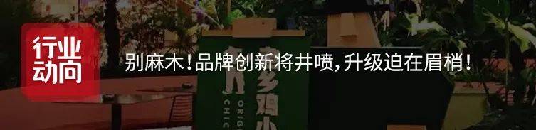 “郑州地邪”，为啥总让外来餐饮大牌“扑街”？