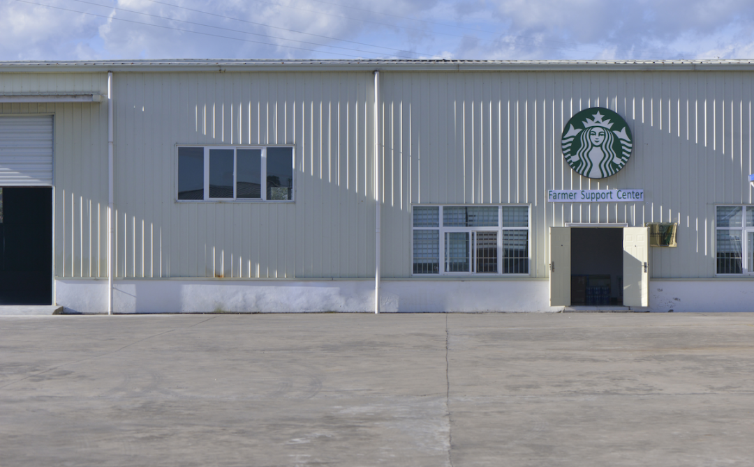 星巴克披露云南咖啡采购量：10年累计收购56433吨